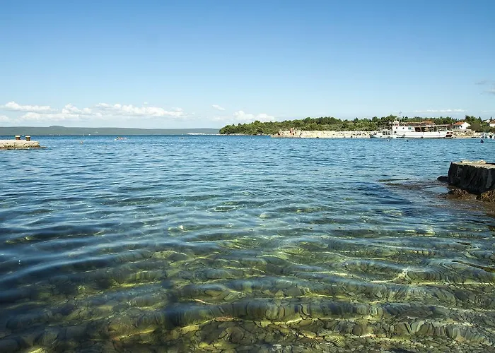 Апартаменты Miletic *