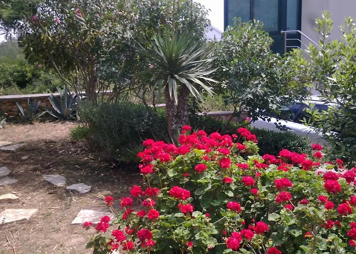 Apartamento Miletic *